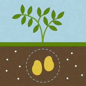 How plants could help us detect,...
