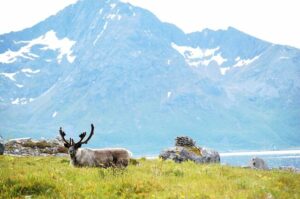 In Norway, Climate Goals Clash With...