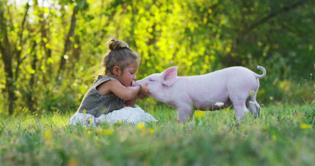 Veganism is NOT just a diet...