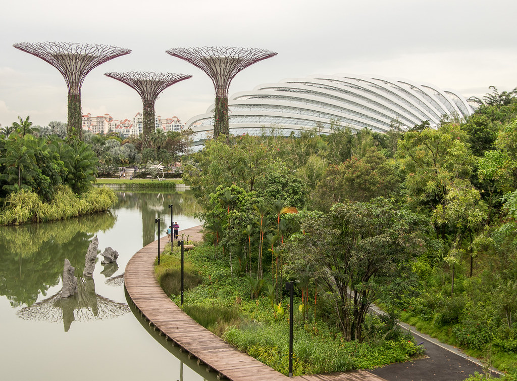 supertrees and flower dome
