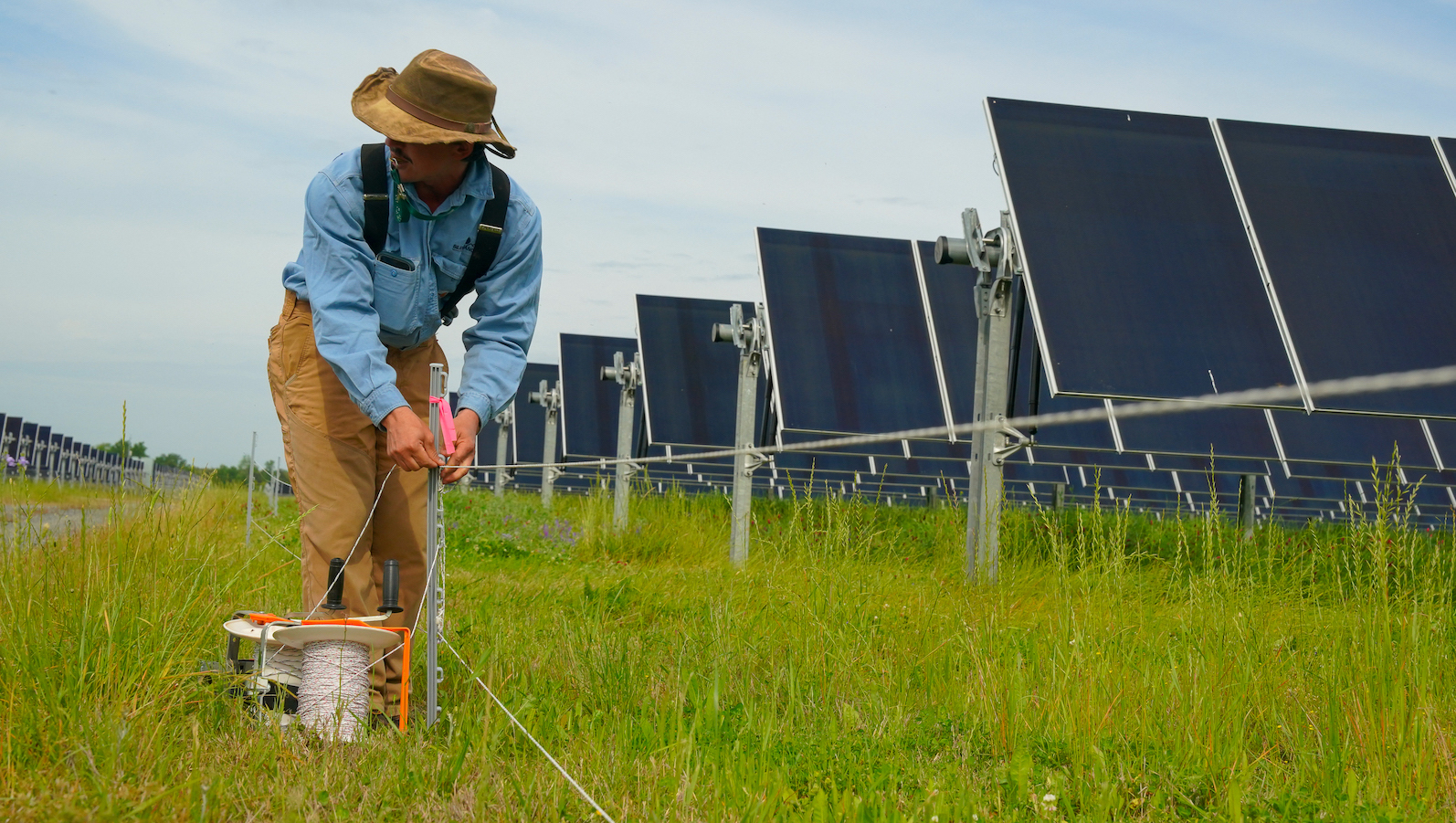 Man holds string on a solar farm.