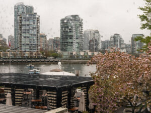 Cities in the Next Decade