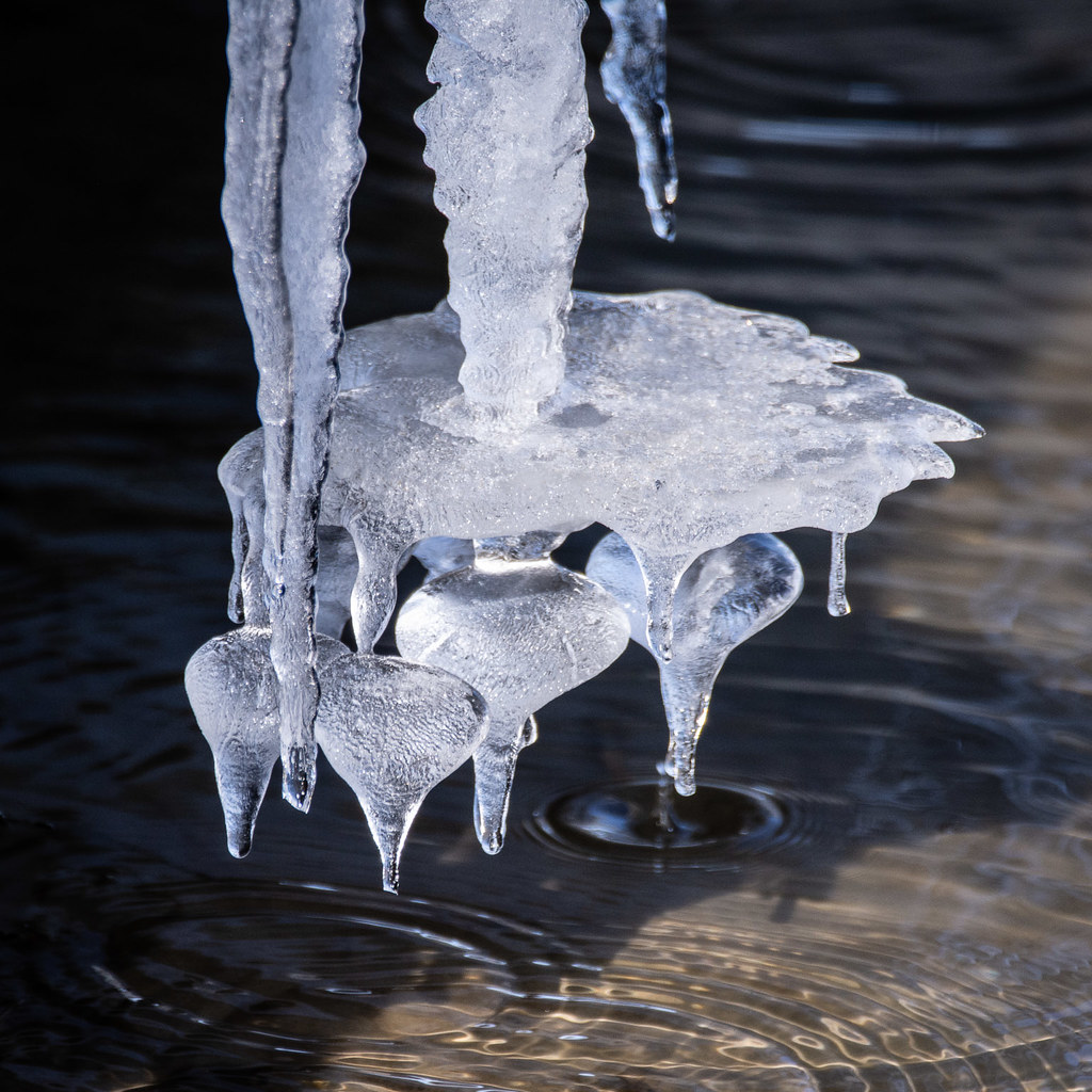 icicles
