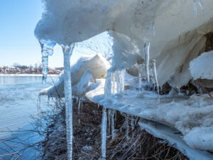 EcoSask News, January 25, 2022