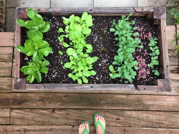 How to Make a Lettuce Table from Cast Off Furniture #lettucetable #upcyclefurniture #creativegreenliving