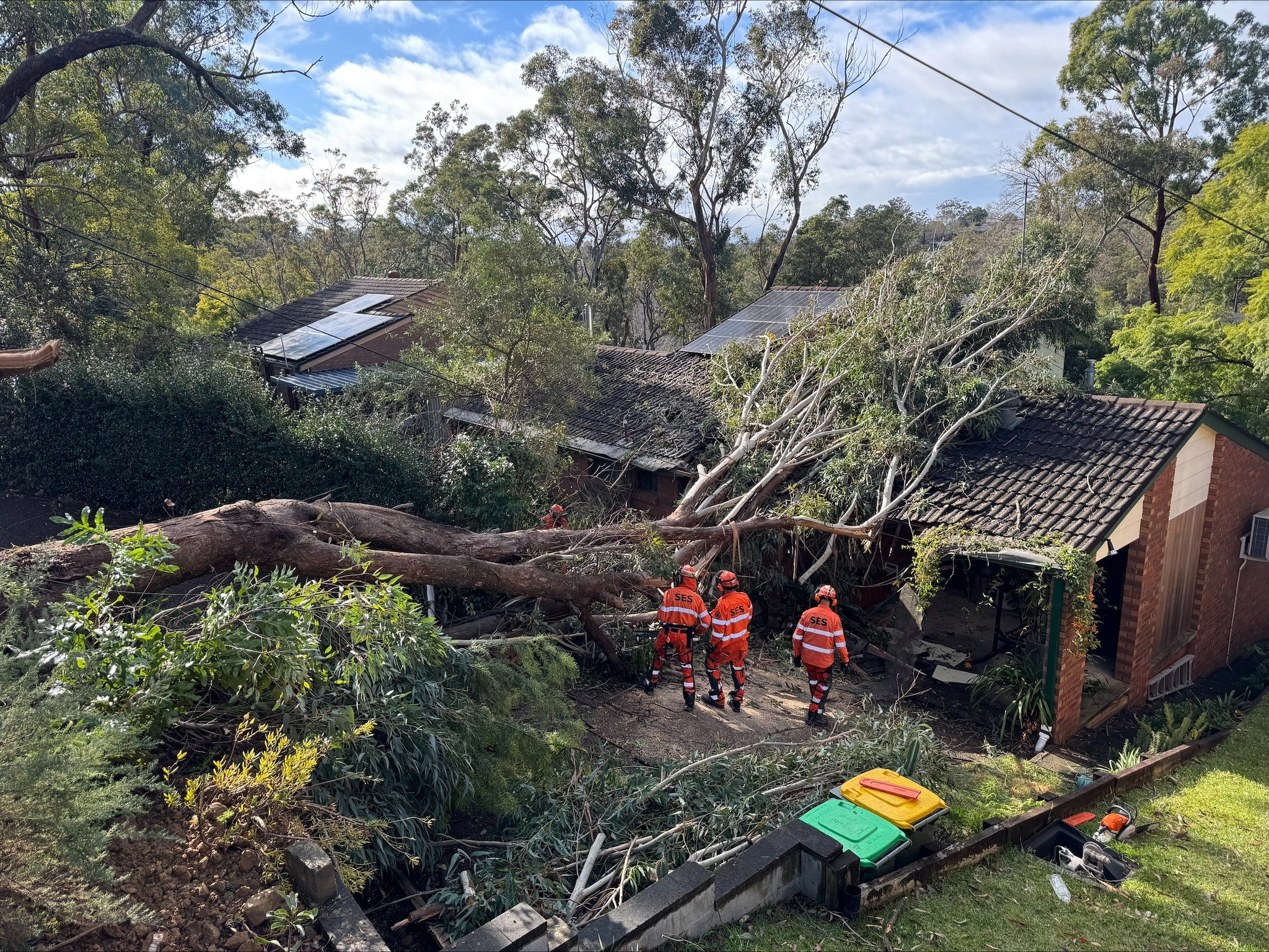 Emergency workers clear fallen trees