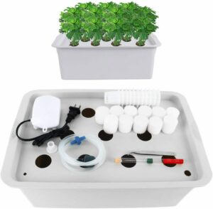 Hydroponic Kits (Budget-Friendly Grow Kits For...
