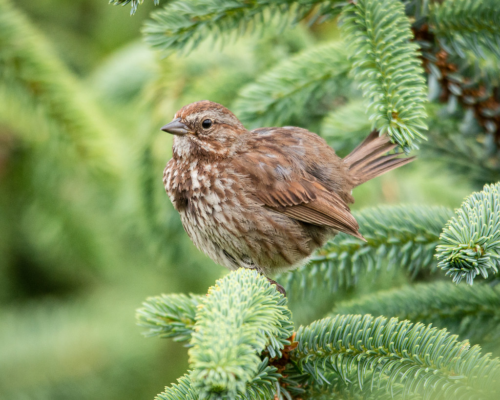 EcoSask News, December 14, 2021