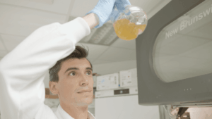 Microbes transform plastic waste into paracetamol,...