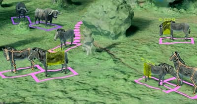 A.I. can analyze images to identify not just distinct species, but individual animals, tracking their movements and posture.