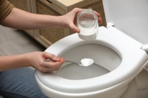 Finding Better Toilet Bowl Cleaners