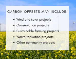 Can Carbon Offsets Save Us? Fighting...
