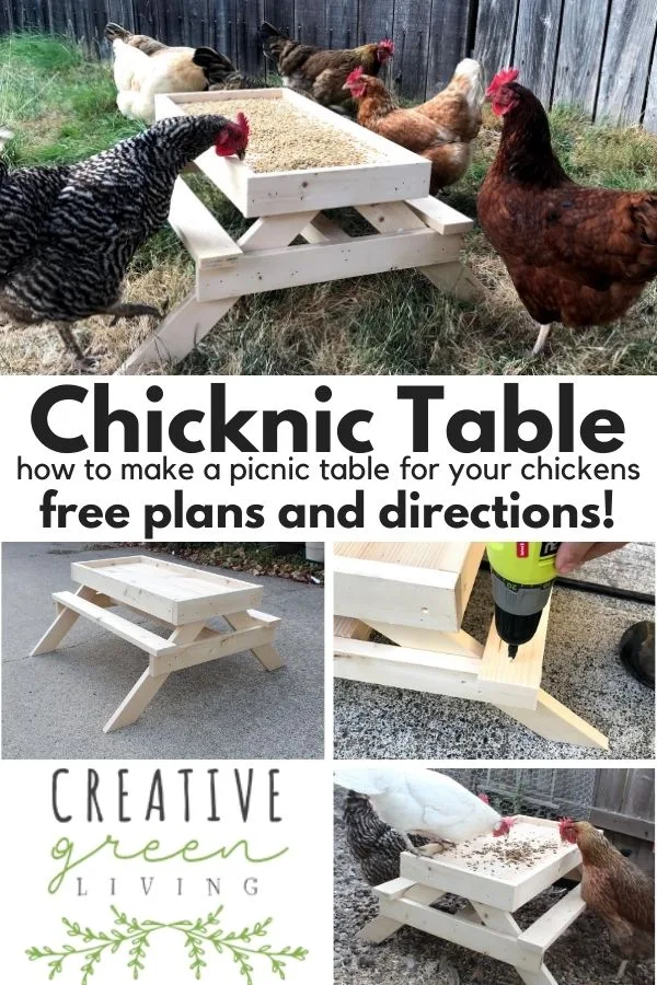 How to make a DIY chicken sized picnic table - AKA a Chicknic table (or chic nic table)! This is an adorable project to make a custom feeder for your backyard chickens that keeps their food up off the ground. It's one of those fun ideas that doubles as decor for your chicken run and keeps your chickens from getting bored. #ChickenKeeping #backyardchickens #chickenDIY How to make a DIY chicken sized picnic table - AKA a Chicknic table (or chic nic table)! This is an adorable project to make a custom feeder for your backyard chickens that keeps their food up off the ground. It's one of those fun ideas that doubles as decor for your chicken run and keeps your chickens from getting bored. #ChickenKeeping #backyardchickens #chickenDIY