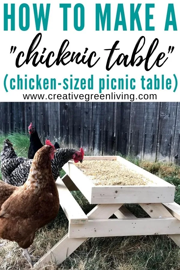 How to make a DIY chicken sized picnic table - AKA a Chicknic table (or chic nic table)! This is an adorable project to make a custom feeder for your backyard chickens that keeps their food up off the ground. It's one of those fun ideas that doubles as decor for your chicken run and keeps your chickens from getting bored. #ChickenKeeping #backyardchickens #chickenDIY How to make a DIY chicken sized picnic table - AKA a Chicknic table (or chic nic table)! This is an adorable project to make a custom feeder for your backyard chickens that keeps their food up off the ground. It's one of those fun ideas that doubles as decor for your chicken run and keeps your chickens from getting bored. #ChickenKeeping #backyardchickens #chickenDIY