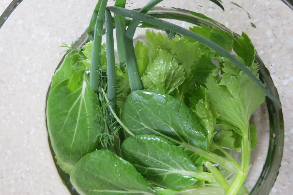 Colorado Cold Frame veggies picked in winter