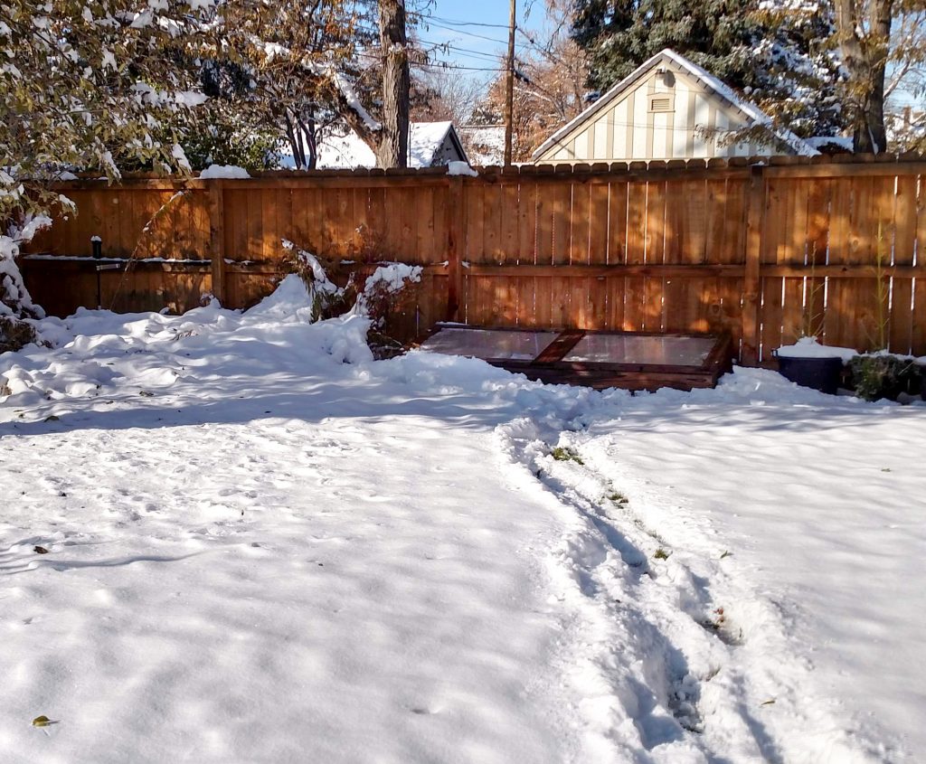 Cold frame in the Snow