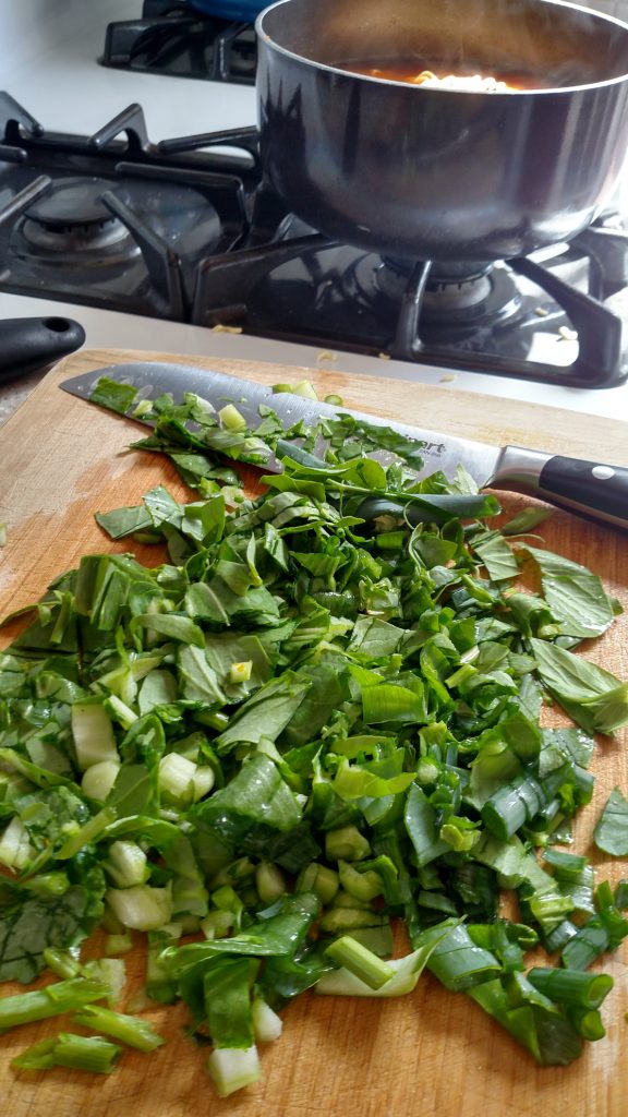 Colorado Cold Frame green onions and cabbage picked in winter