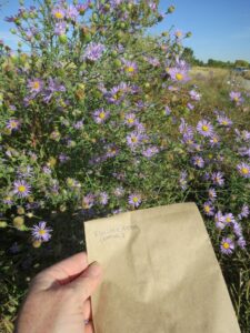 Colorado Native Plant Seed Swaps •...