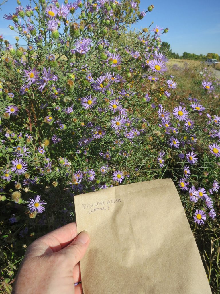 Colorado Native Plant Seed Swaps •...