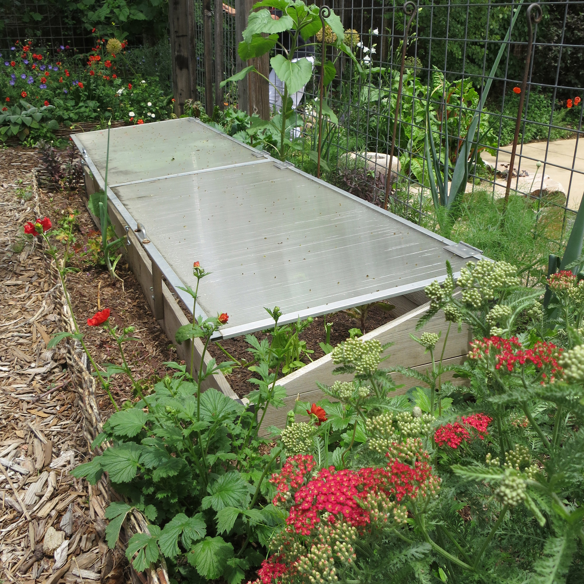 cold frames I saw during the Denver Garden Bloggers Fling -