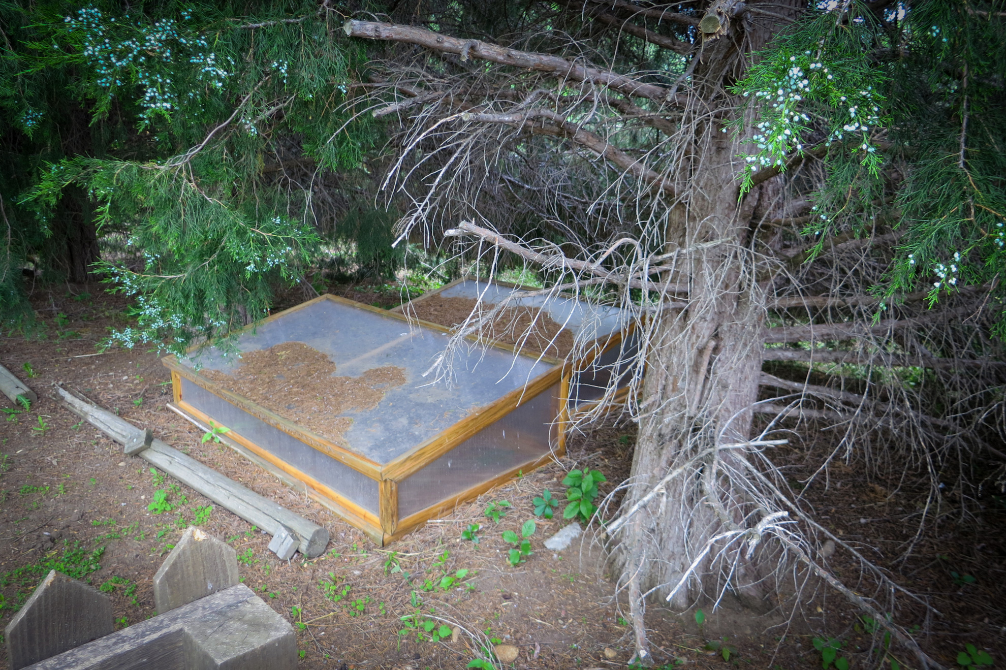 cold frames I saw during the Denver Garden Bloggers Fling