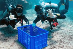 Conservation Guide to Building an Ocean...