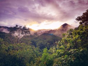 Colombian Chocolate Saves Trees – U.S....