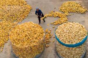 What climate change means for agriculture:...
