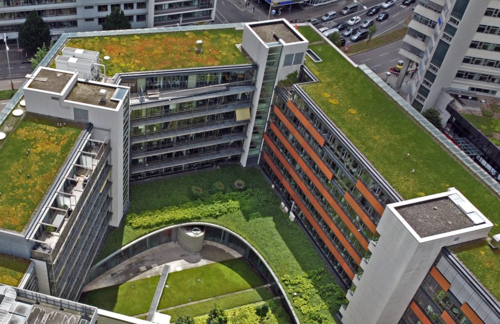 GreenRoofExpert1324-1024x663.jpg