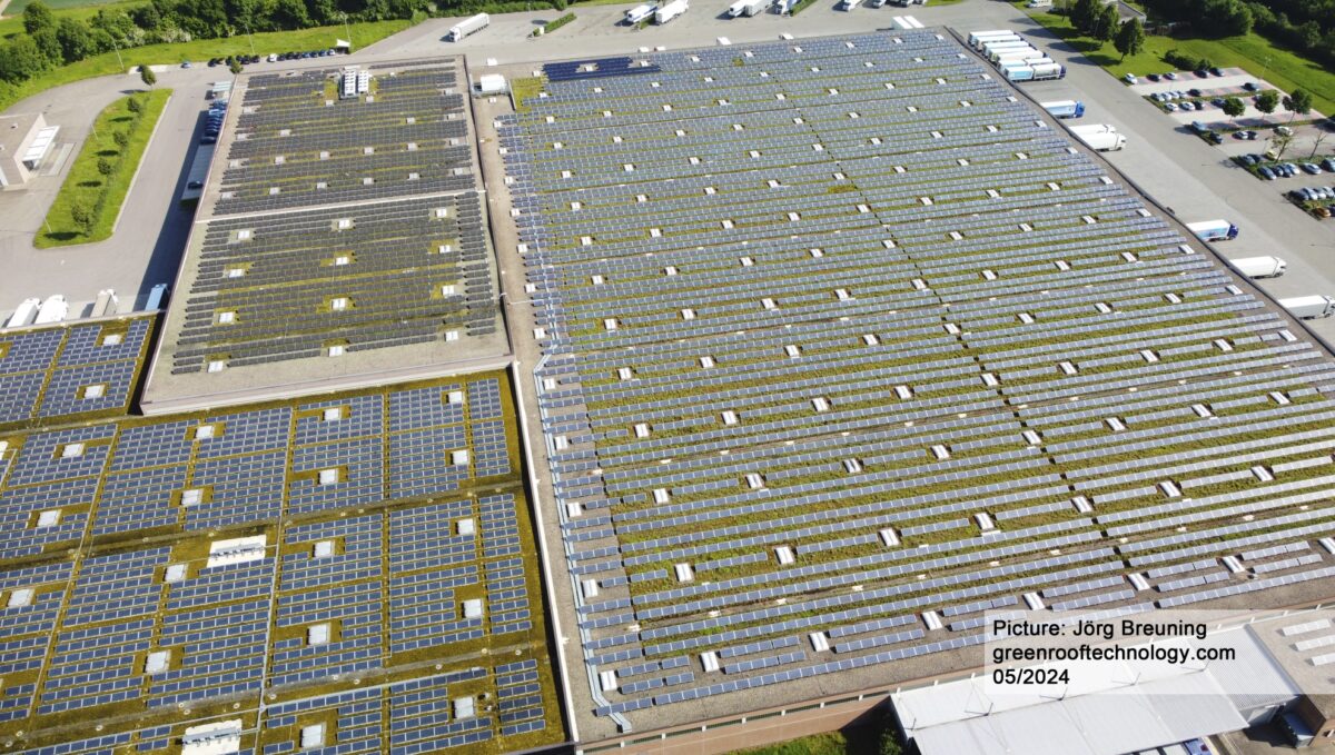 ALDI SOLAR GREEN ROOFS – Green...