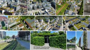 Talking versus Doing – Green Roof...