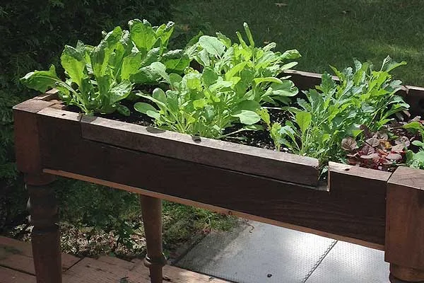 How to Make a Lettuce Table from Cast Off Furniture #gardencrafts #springproject #creativegreenliving