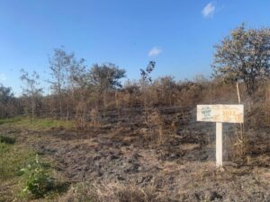 Yucatán Restoration affected by two severe...