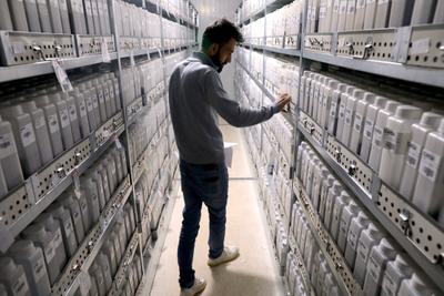 The ICARDA gene bank in Bekaa Valley, Lebanon, is stocked with seeds from a bank in Aleppo, Syria.