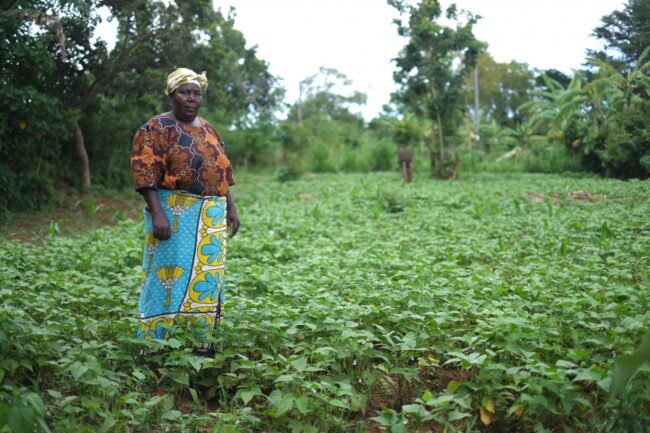Farmer on her bean farm in Kenya.