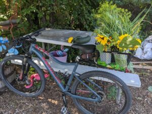 Benefits of Commuting by Bike –