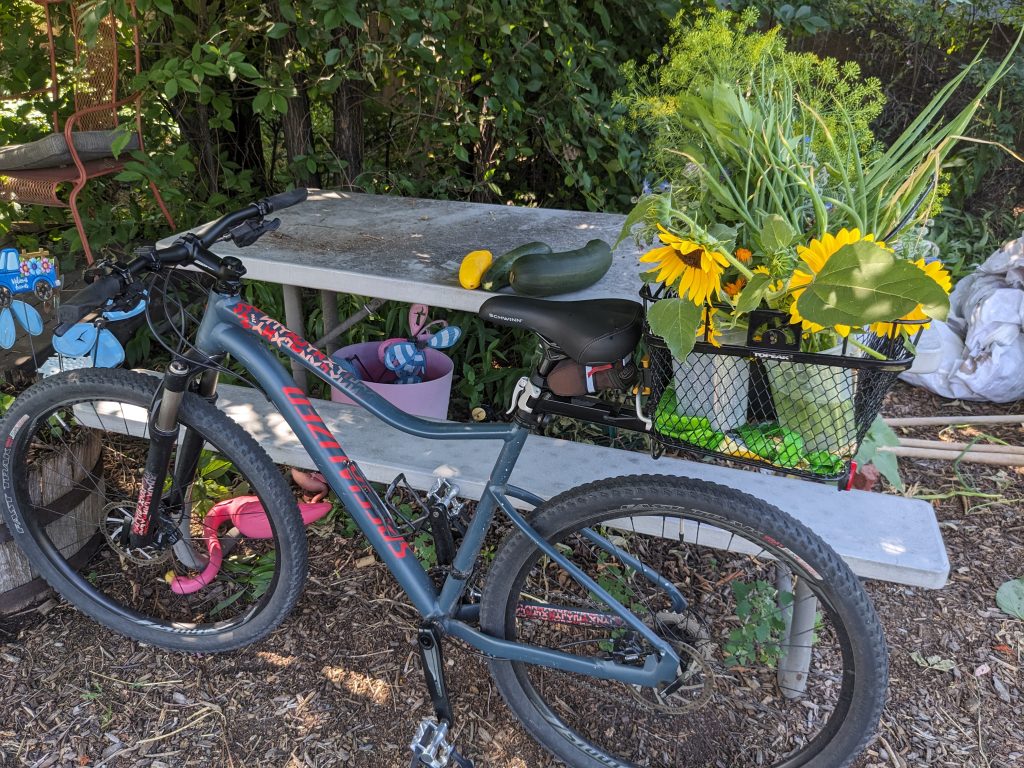 Benefits of Commuting by Bike
