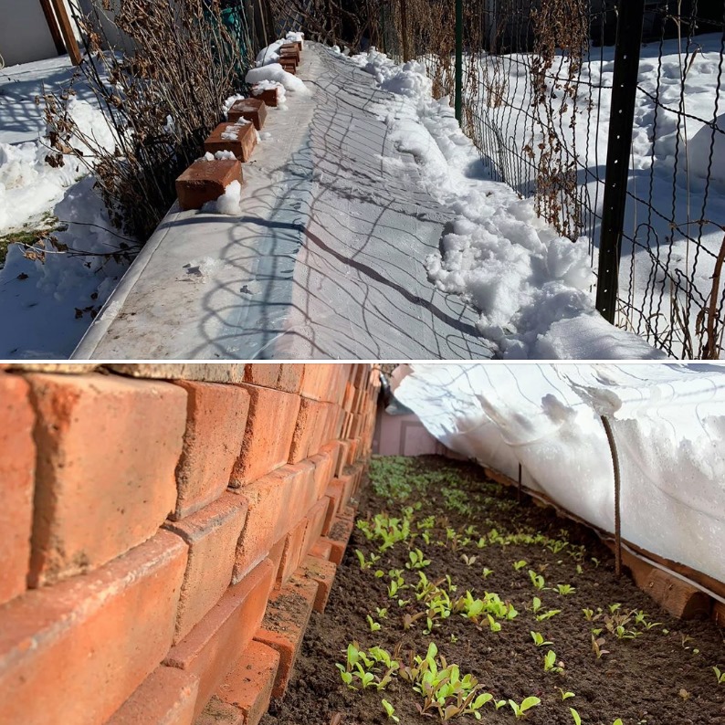 Colorado Cold Frames - Plastic over Bricks
