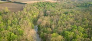 Budget 2025 Puts Ontario’s Nature at...