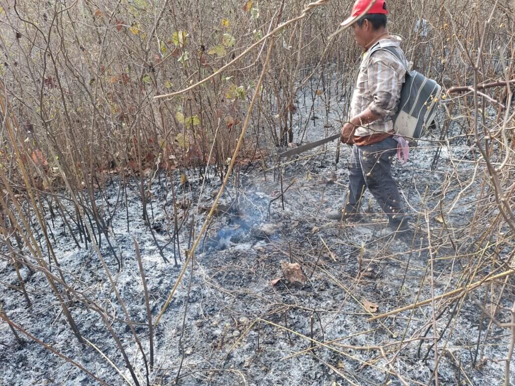 cutting down vegetation to create firebreaks with machetes