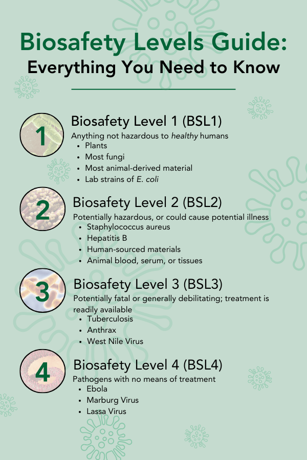 biosafety-levels-infographic.png