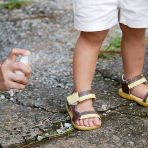 Do It Yourself Bug Repellants Without...