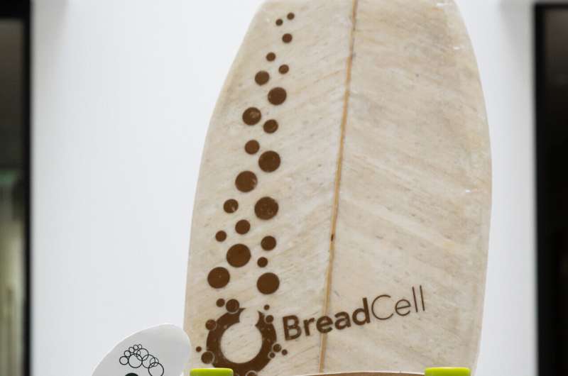 Shoe soles, a bodyboard and a skateboard made with the new foam. Credit: Wolf—TU Graz Cellulose instead of crude oil: team with participation of Graz University of Technology develops sustainable foams