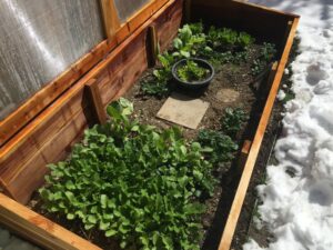 Colorado Cold Frames –