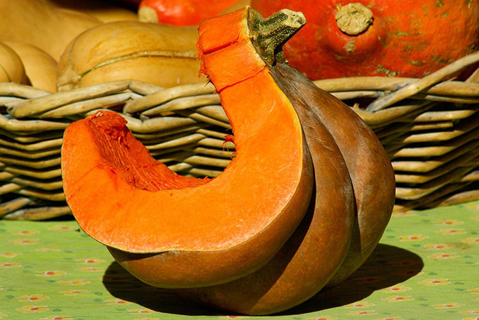 Beat the zucchini vine borer by planting squash breeds whose vines are resistant to invasion. (The Grow Network) Beat the zucchini vine borer by planting squash breeds whose vines are resistant to invasion. (The Grow Network)