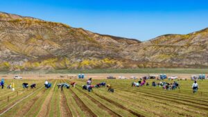Hotter and drier climate in Colorado’s...