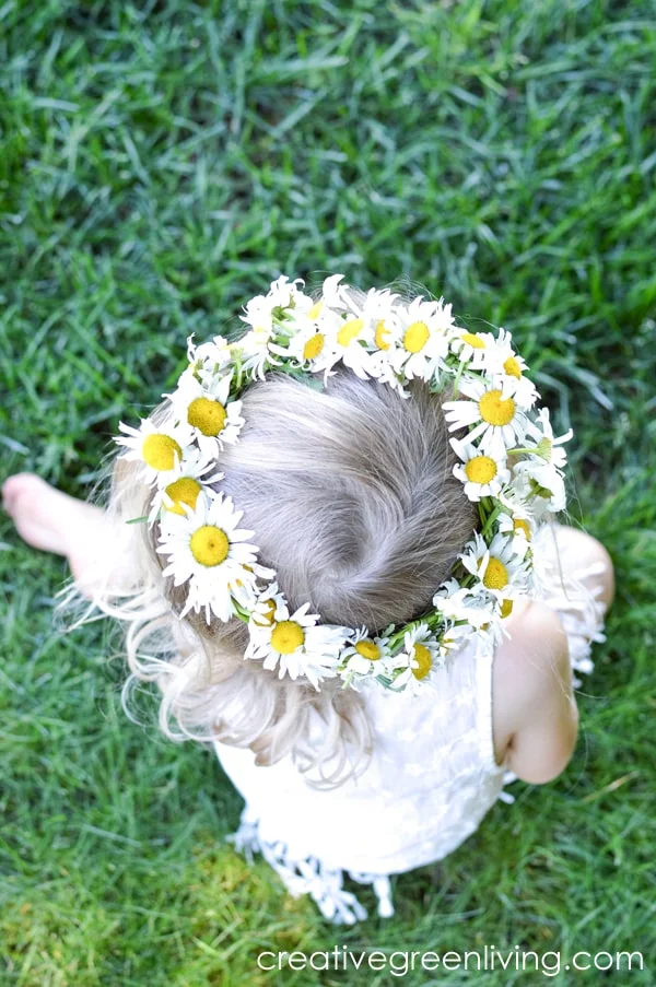 How to make a daisy chain flower crown or bracelet with real flowers. This easy DIY tutorial shows you how to make a floral headband or crown from daisies, dandelions or other wildflowers. #creativegreenliving #daisychain #flowercrown #kidscrafts How to make a daisy chain flower crown or bracelet with real flowers. This easy DIY tutorial shows you how to make a floral headband or crown from daisies, dandelions or other wildflowers. #creativegreenliving #daisychain #flowercrown #kidscrafts