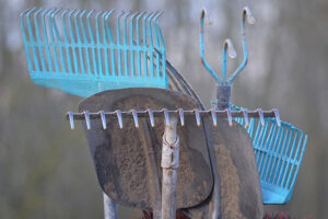 Garden Hand Tools: The Only 5...