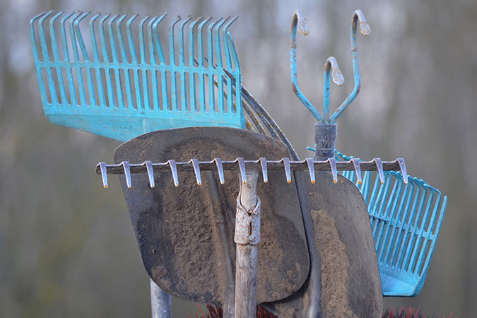 Which garden hand tools do you really need? (The Grow Network) Which garden hand tools do you really need? (The Grow Network)
