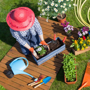 Do It Yourself Landscaping Ideas For...